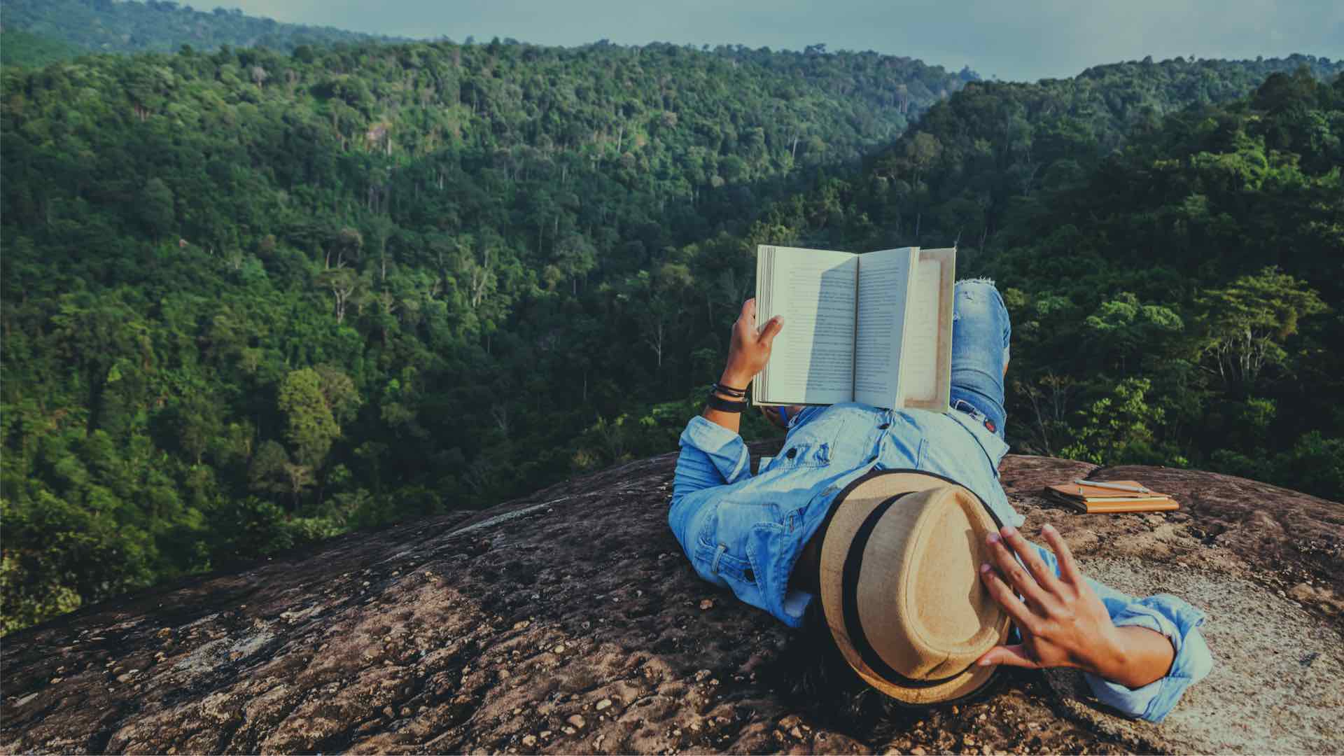 avid traveller