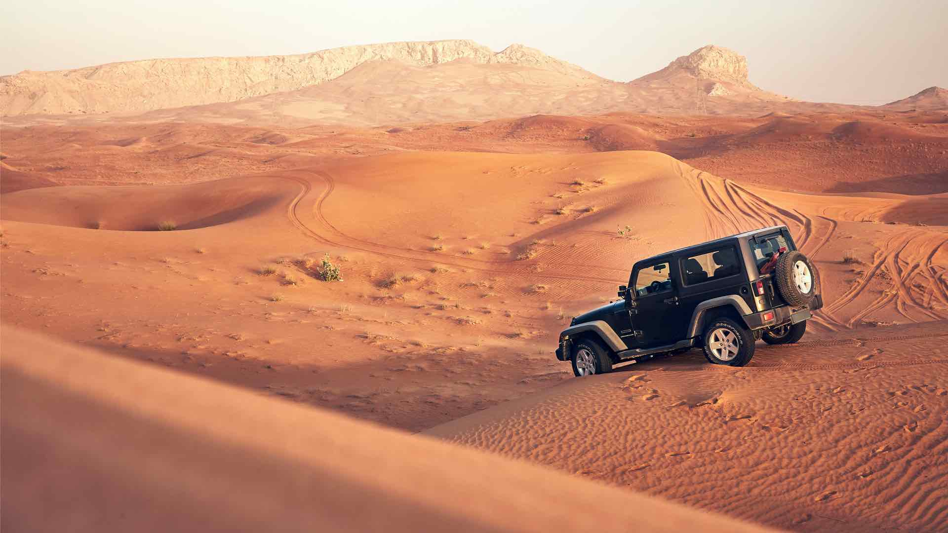 dubai safari