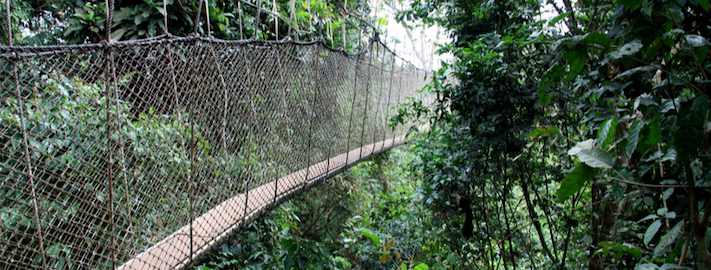 Best Attractions in West Africa