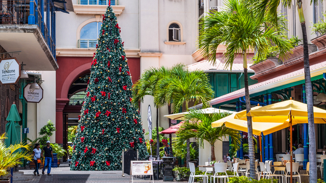 christmas season