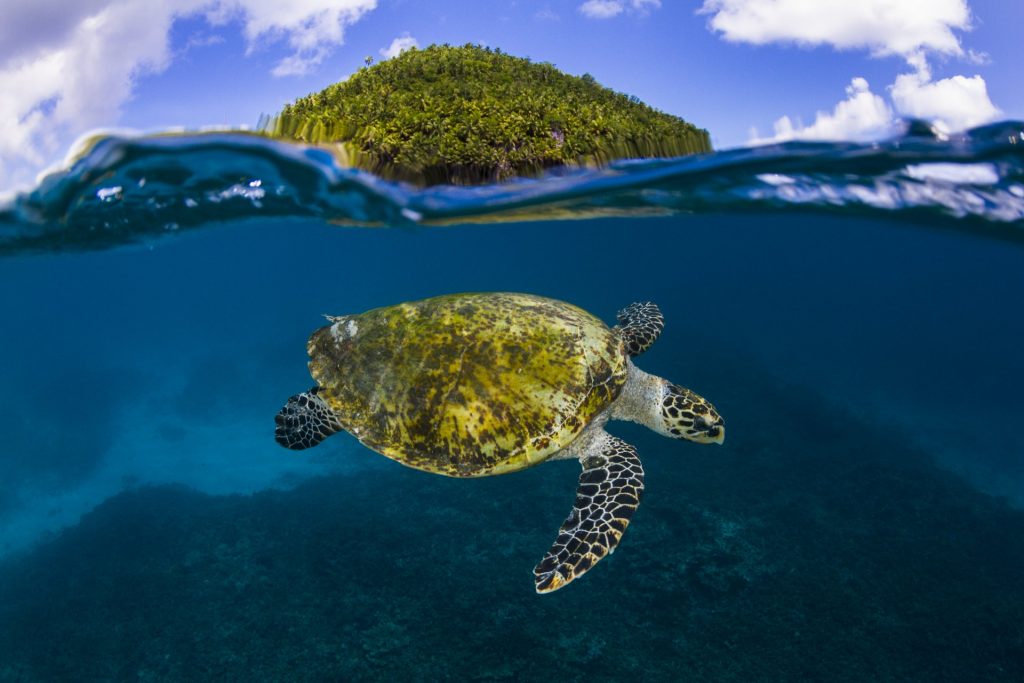 Easter in Seychelles
