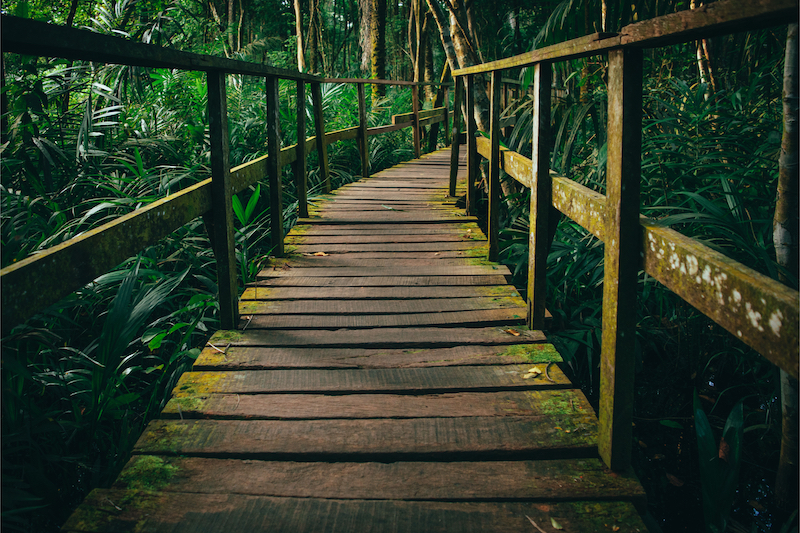 canopy walk lekki