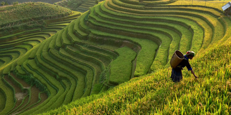 visit bali