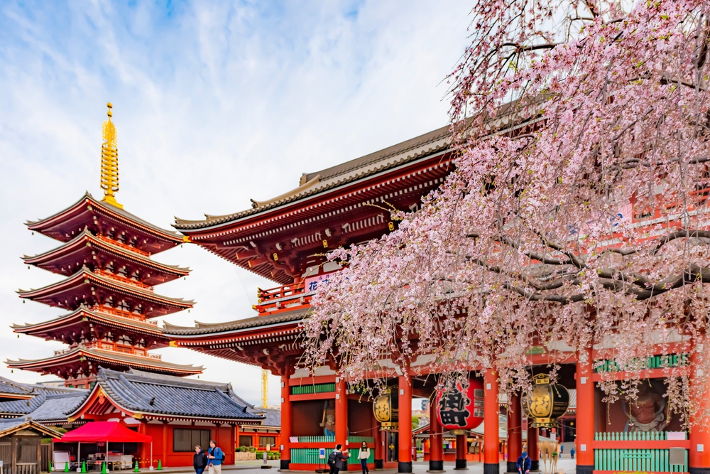 Tourists enjoy sightseeing Sensoji Temple in springtime, Asakusa, Tokyo 