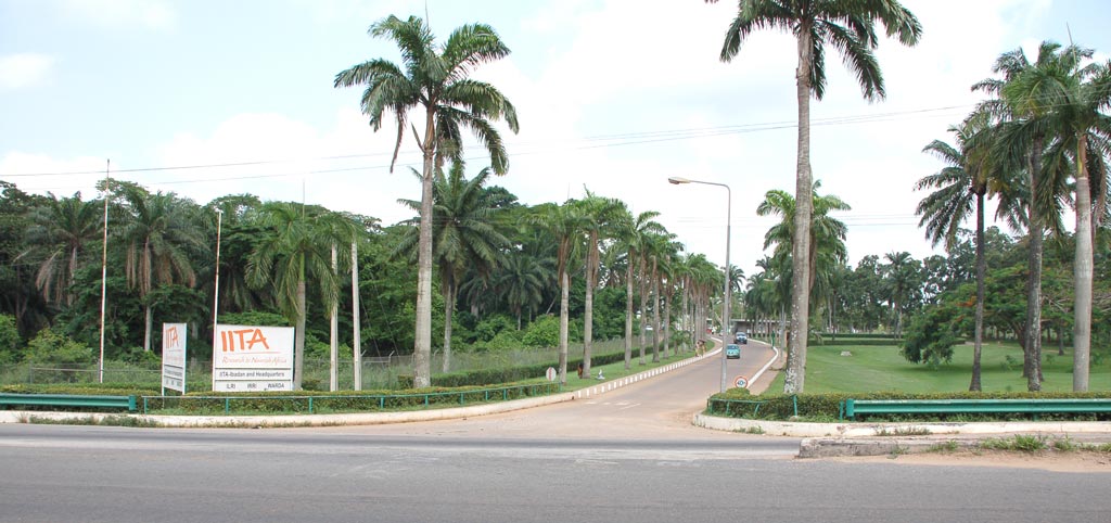 A picture of IITA Ibadan as one of the summer vacation packages under 1 million naira