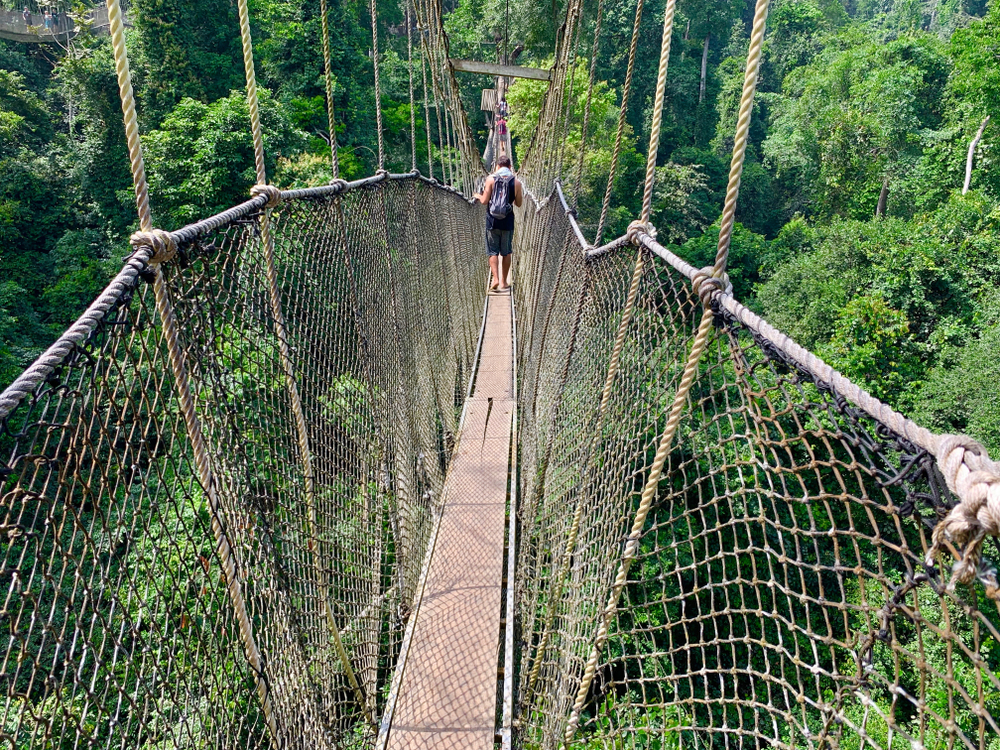 Nature Retreats as a fun summer activities to try in Lagos 